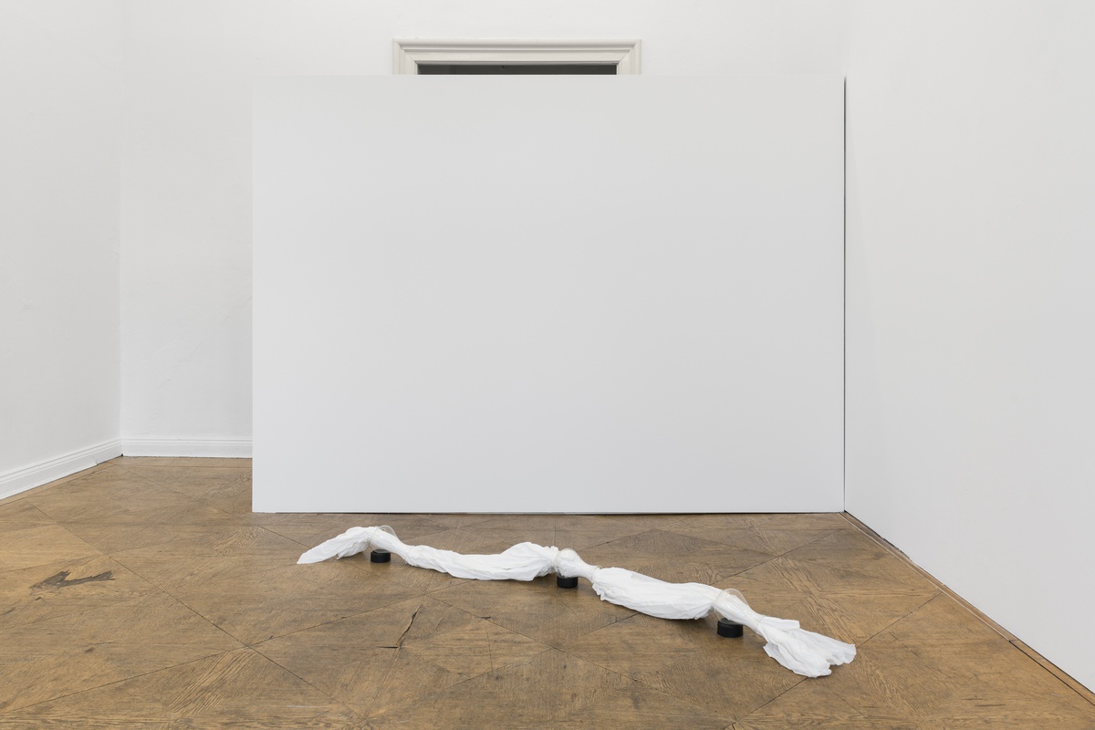 curated by Dara Jochum & Franziska Sophie Wildförster by