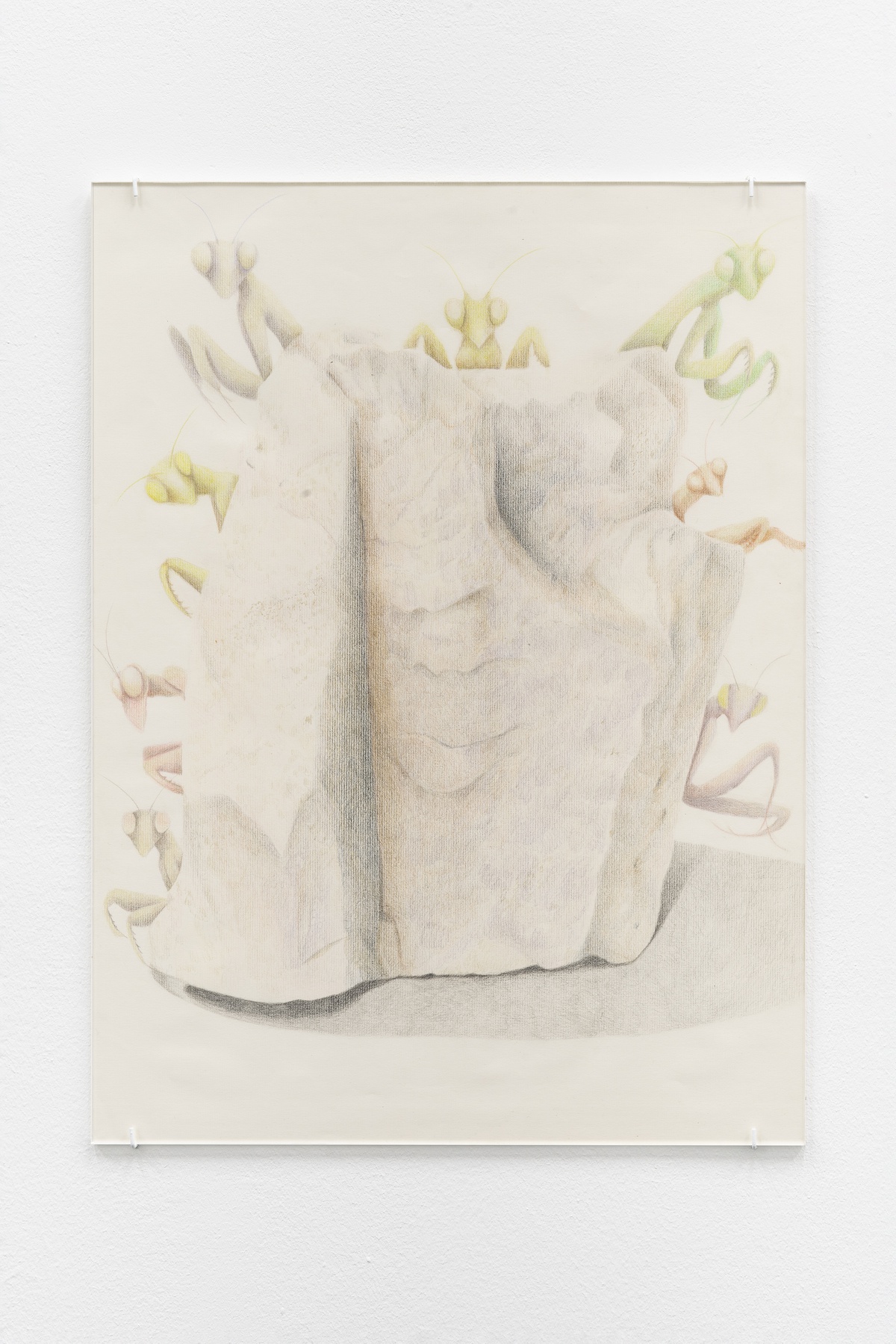 Susan Conte, Gate IIcolored Pencil, paper, plexiglass45,7 × 61 cm