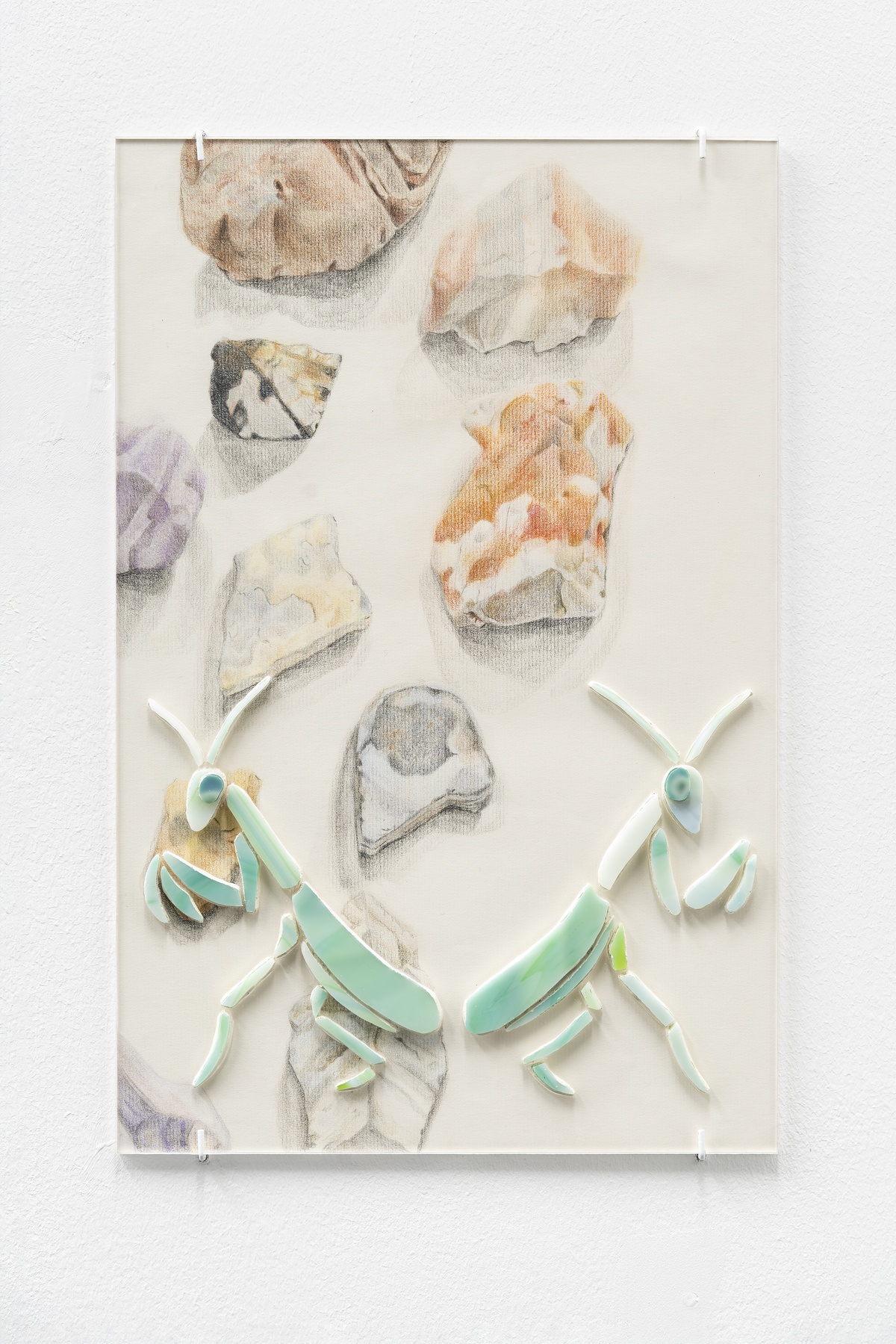 Susan Conte, Lower Arrangements (praying mantis)colored pencil, paper, glass, clay resin, plexiglass28 × 43,2 cm